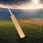 Kashmiri willow Grade A Leather Bat