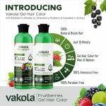 Vakola Fruitberries Natural Black Long Lasting Natural Fruit Vinegar Professional Gel hair Color for Both Men & Women (100ml x 2(Black Gel Hair Color & Developer))