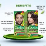 Corlin Herbal Permanent Hair Color Cream, Dark Brown C4 (100g x 2pcs)